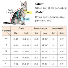 Charger l&#39;image dans la galerie, Fashion Plaid Cat Harnesses for Cats Summer Mesh Pet Harness and Leash Set Katten Kitty Mascotas Products for Gotas Accessories
